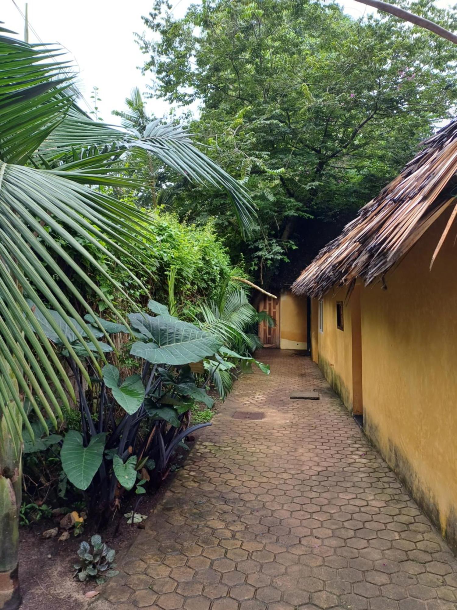 Green Garden Guest House Arusha Eksteriør billede